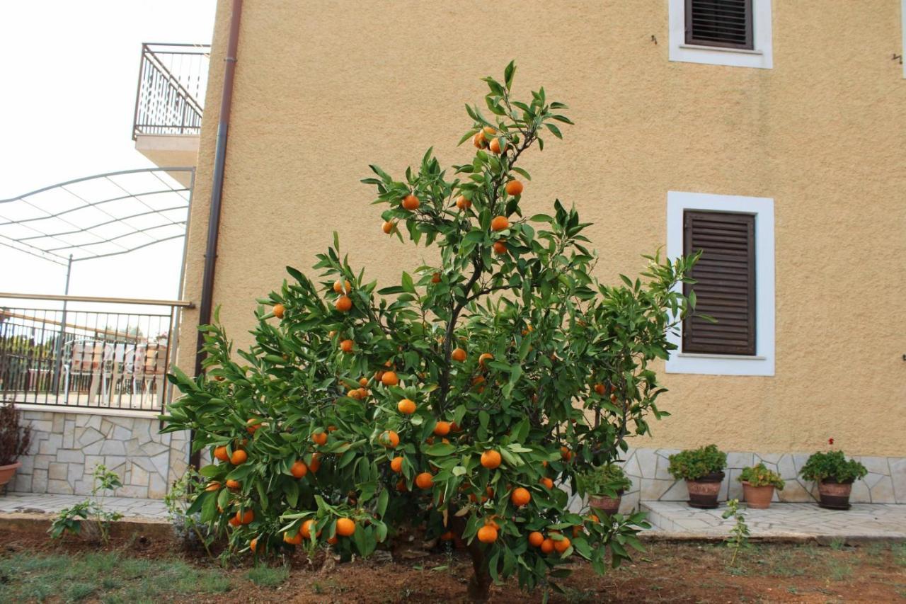 פאז'אנה Lily'S Lovely Apartments מראה חיצוני תמונה